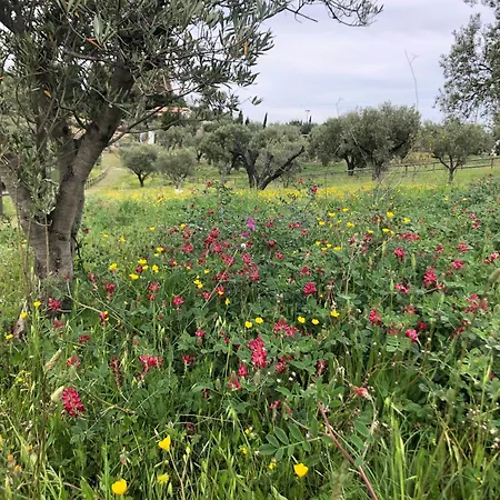 Séjour à la ferme Donnomarco *