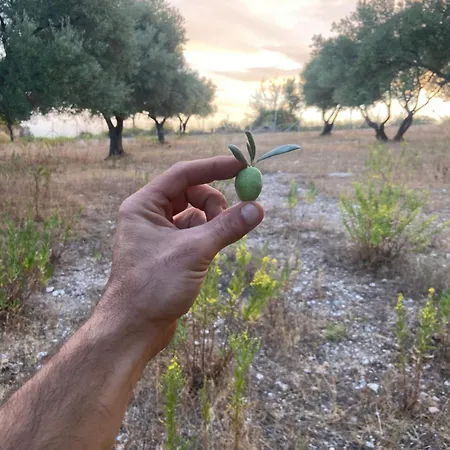 בית חווה Donnomarco Simeri Crichi