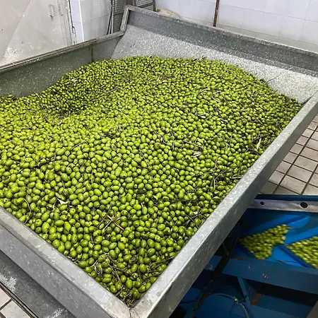 Donnomarco Simeri Crichi