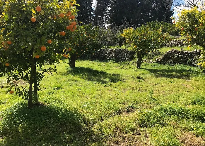 Alojamento de Turismo Rural Donnomarco *