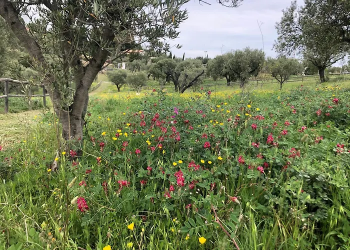 Alojamento de Turismo Rural Donnomarco *