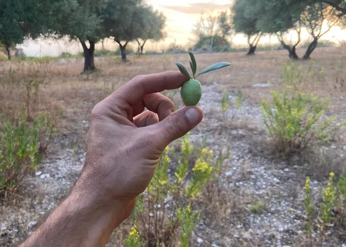 农家乐 Donnomarco Simeri Crichi