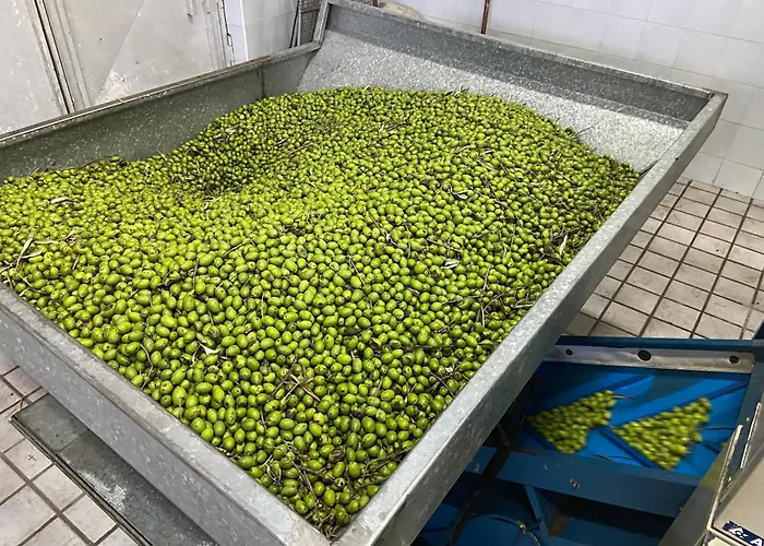 Donnomarco Simeri Crichi