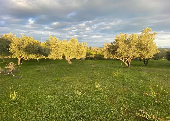 Donnomarco Alojamento de Turismo Rural